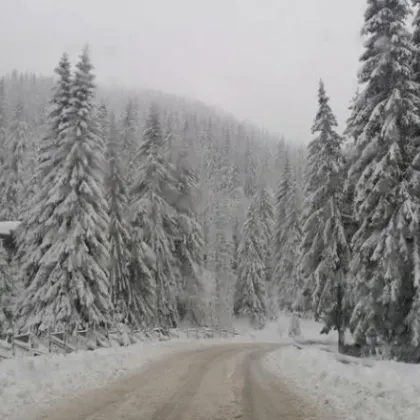 Остава в сила бедственото положение което община Смолян обяви за