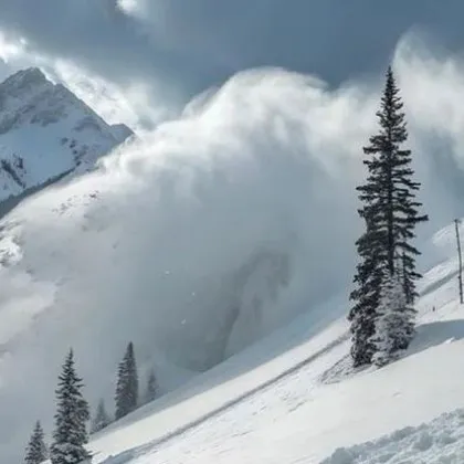 Осем скиори са открити мъртви а един човек все още