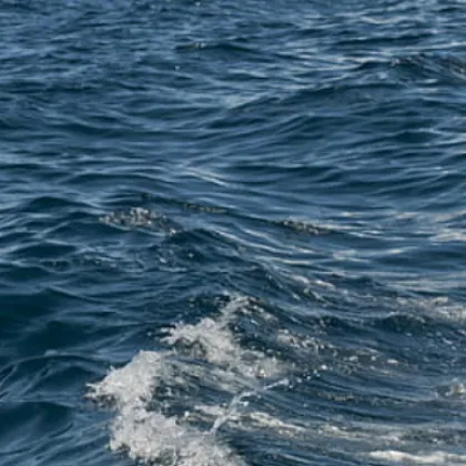 Нова следа в морето: Предполага се, че издирваният кораб е потънал