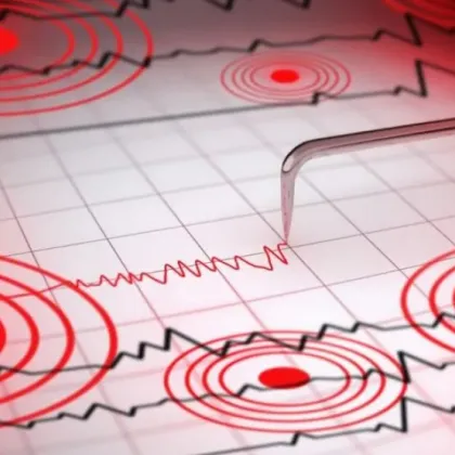 Земетресение с магнитуд 4 6 по скалата на Рихтер бе регистрирано