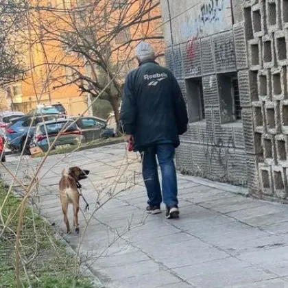 Столичанин преби кучето си с клон на улицата СНИМКИ