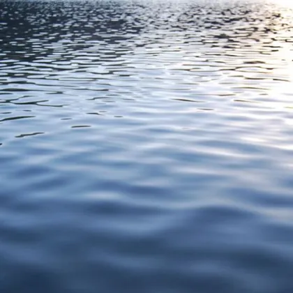 Седем китайски туристи и шофьорът им се смятат за загинали след