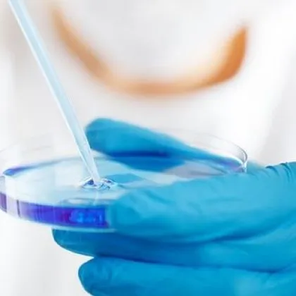 Изследваха 500 писани: Откриха генетична връзка между рака при котки и хора