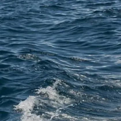 Откриха риболовния кораб който изчезна от радарите в сряда сутринта Плавателният съд