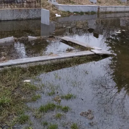 &bdquo;По-добре в Дунава да си ги погребваме": Наводнени гробове разгневиха ломчани СНИМКА