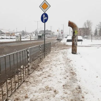 &bdquo;Оправяйте се": Снегорин изсипа снега от пътя върху тротоара в София СНИМКИ