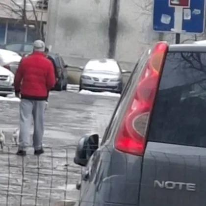 &bdquo;Гледа си телефона, а кучето хапе": Дете в Спешното след нападение от домашен любимец