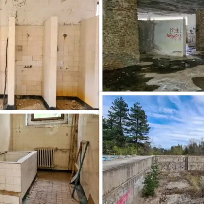 От лековит оазис до призрачна руина: Минералната баня в Костенец тъне в разруха СНИМКИ