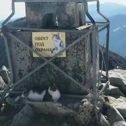 Стражът на Мусала има нужда от подкрепа СНИМКА