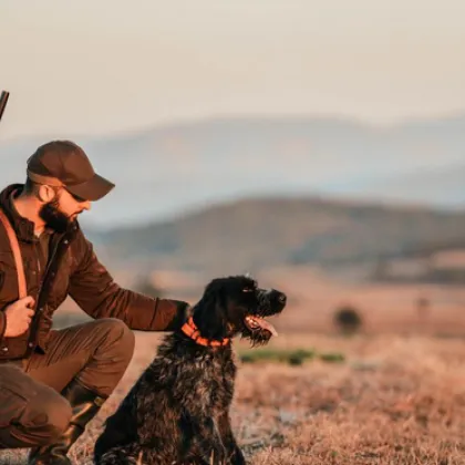 Лов на птици &ndash; най-добрите техники и примамки