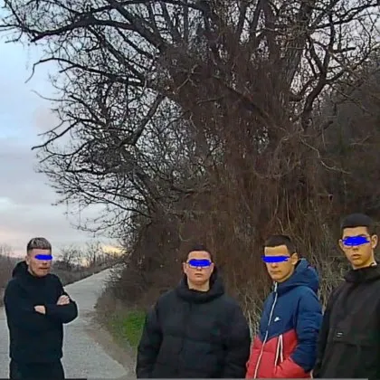 Тийнейджъри бдяха над пострадала котка, докато дойде помощта СНИМКА