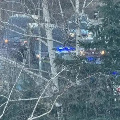 В София: Училищен автобус катастрофира, шофьорът получил инфаркт