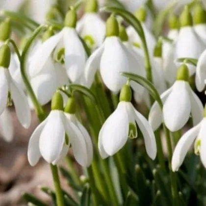 Ето с какво време ще ни посрещне март