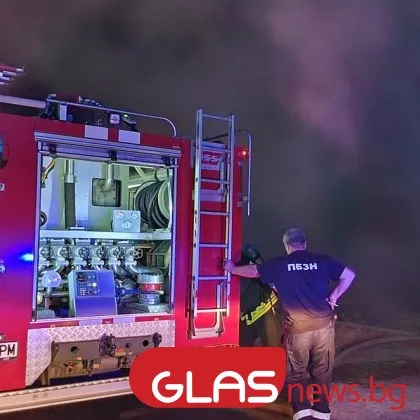 "Гледайте ми децата": Разкриха последните думи на младата майка, изгоряла в Пловдивско