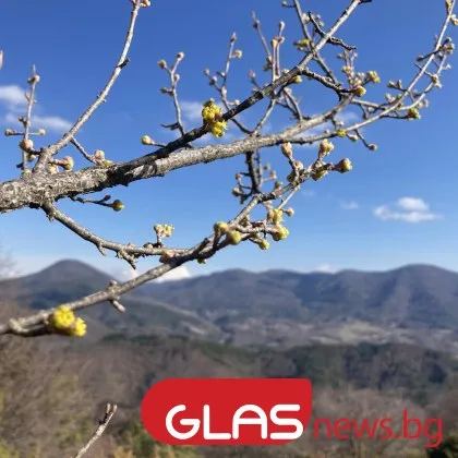 Слънчево време днес