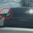 Агресия на пътя Варна &ndash; Бургас: Водач на Tesla набива спирачки и размахва нож СНИМКИ