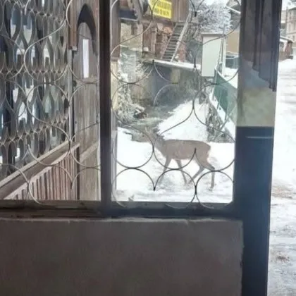 Грациозна туристка се разходи из родопско село СНИМКИ