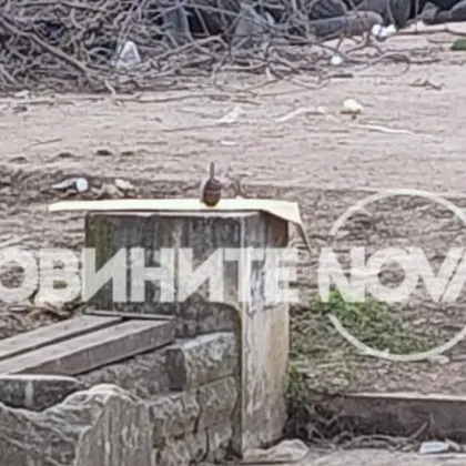 Бездомен мъж откри този следобед граната на сметище срещу бензиностанция на ул