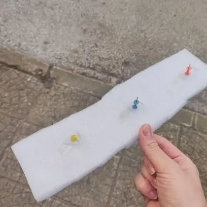 Откриха необикновен "капан", разположен край парк в Пловдив СНИМКА