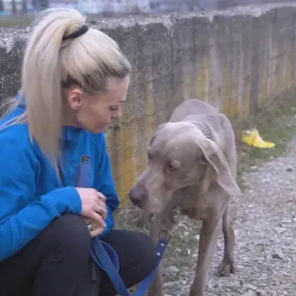 Жена скочи в 7-метров преливник край Монтана, за да спаси кучето си