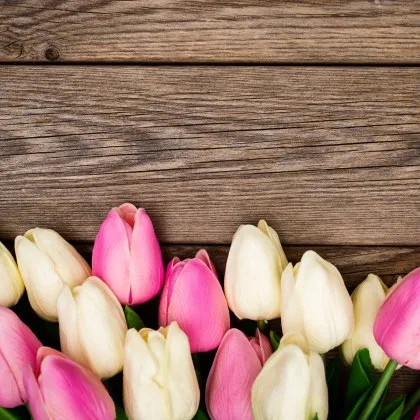 Празнуват жените! Ето с какви пожелания да ги поздравите