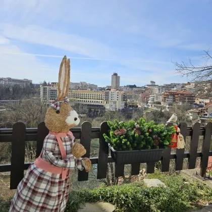 Този път имаме рекорд: Посегнаха на декоративно зайче, поставено за украса СНИМКИ