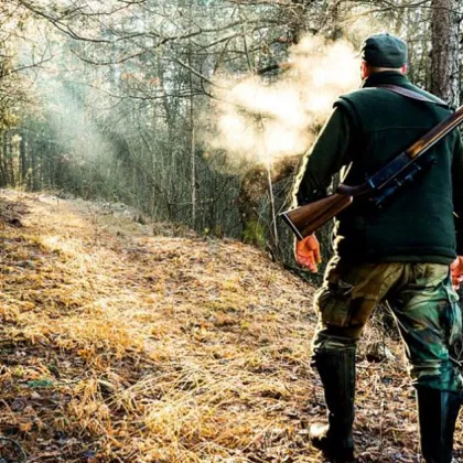 Сигнал за бракониерство в Пловдивско: Замесен ли е бивш директор на ловно стопанство?