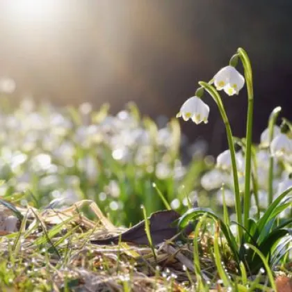 Климатолог: Идва време на облеклото тип &bdquo;зелка"