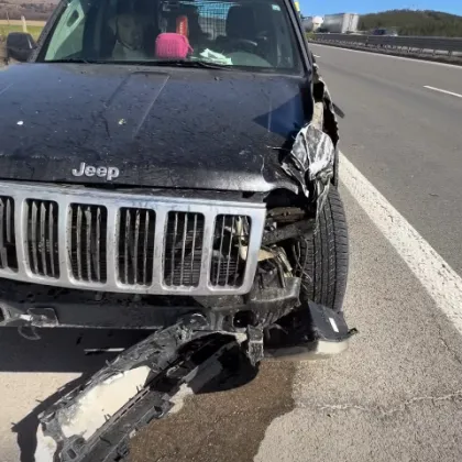 "Щяхме да умрем": Жена, която спасява животни, претърпя катастрофа ВИДЕО