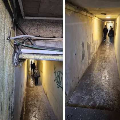 &bdquo;Опасно! Мръсно! Гнусно!": Русенци сигнализират за проблемен подлез СНИМКИ