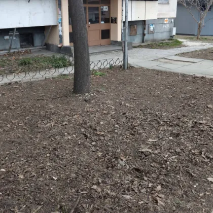 Варненци показаха как се прави: Сами почистиха градинката пред входа СНИМКИ