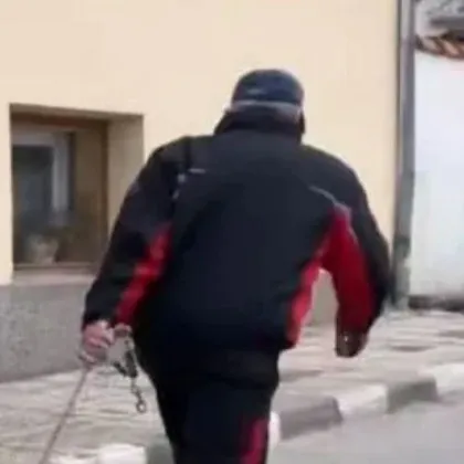 Разкриха какво се е случило с хъскито, влачено по асфалта от стопанина си ВИДЕО
