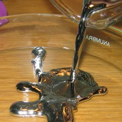 Мъж откри живак в мазето си, три дни институциите не реагират