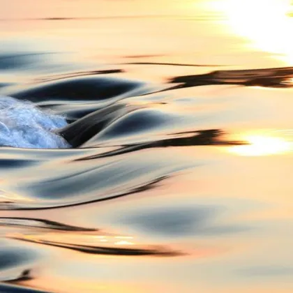 Намериха труп на жена във водите на Дунав край Видин