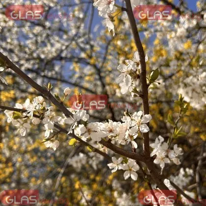 Астрономическата пролет настъпи точно в 16 46 ч българско време С