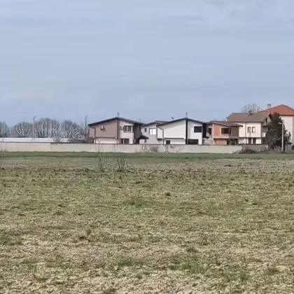 Задушлива миризма изтормози село край Пловдив, разкриха причината