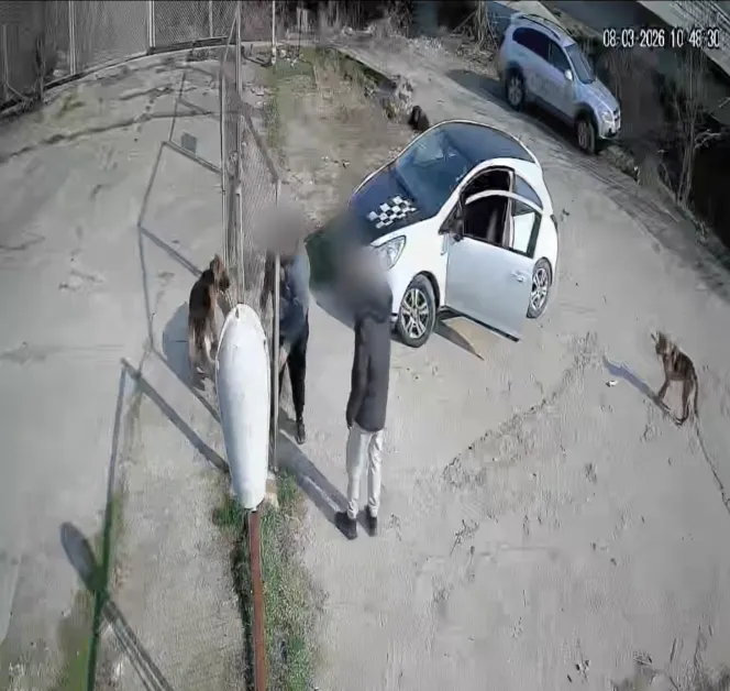 Мъж разби приют, за да прибере кучето си СНИМКИ