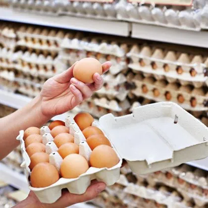Berliner Zeitung: Украйна доставя яйца на Европа, пълни с антибиотици