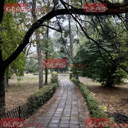 Валежи бележат началото на седмицата