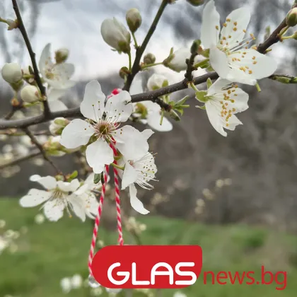 Дъждовно време с температури до 16 градуса