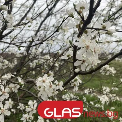 Облаци и кратки превалявания днес