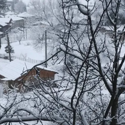Сняг заваля в части от Южна България в края на
