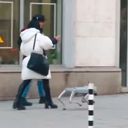 София се скара заради куче&hellip; от ламарина: любов и омраза на пл. Славейков ВИДЕО