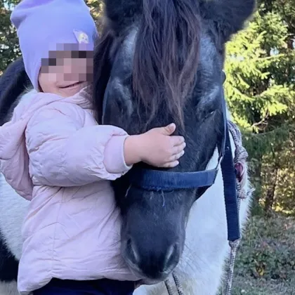 Издирват изчезнало пони с дронове и мотори, дават 500 евро награда! СНИМКИ