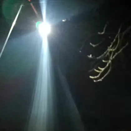 Нощна &bdquo;дискотека" от улична лампа тормози столичен квартал ВИДЕО