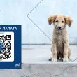 Fibank подкрепя кампанията "Сканирай лапата" в защита на животните