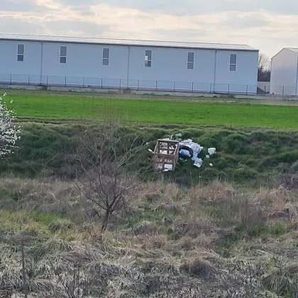 Безумие! Изхвърлиха мъртви кучета в околностите на село край Пловдив СНИМКИ
