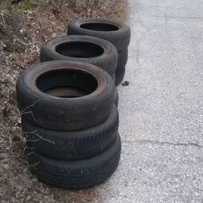 "Прасе" припозна  родопска гора за сметище СНИМКА