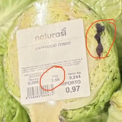 Зеле за 8 лв. в Рим: Кумчев показа &bdquo;лукса" на Европа &ndash; малко, скъпо и&hellip; съмнително