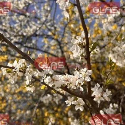 С настъпването на април процесите в стратосферата навлизат в своята